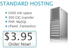 Business Hosting
